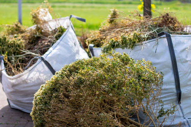 Best Furniture Removal Near Me  in Clarkton, MO